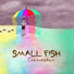 Small Fish