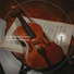 The Bedtime Orchestra