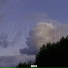 NZRLS