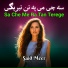 Said Meer