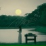 TANTHAM