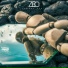 Zeo