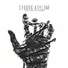 Cyborg Asylum
