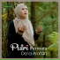 Putri Permata