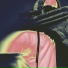Satoshi