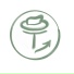 The Toni Boy