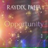 RAYDIX feat. PAHA