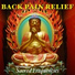 Dr. Bijay Saabye
