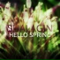 Shalagin