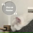 Titi l'amour des animaux