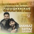 Shahbaz Fayyaz Qawwal