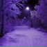 nleave