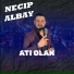 Necip Albay