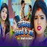 Vicky Raj Khesari