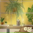 shan stu, Cozy, Cozy Lofi