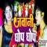 Amit Bharadwaj, Balmeswar Bedardi
