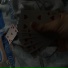 Tsuki1102, rendwew