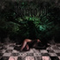 BORN TO ROT