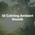 Lullabies for Deep Meditation