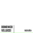 Domenico Vellucci