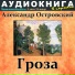Аудиокнига в кармане, Максим Доронин