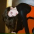 ARIANNA