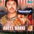 Adeel Barki