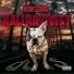 KURT DOG feat. Json, Otherwize