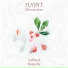 FLYJNT