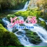 Nhạc Sống Thanh Ngân