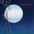 Jade Warrior