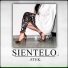 STEK