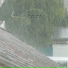 Monsoon Rain