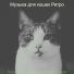 Музыка для кошек Ретро