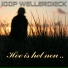 Joop Wellerdieck