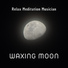 Relax Meditation Musician