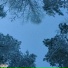 Overlave