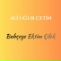 Ali Uğur Çetin