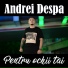 Andrei Despa