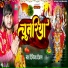 Digvijay Deewana