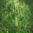 Clem Leek