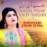 Shehzadi Erum Siyal
