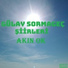 Akın Ok