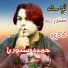 Hameed Zaheer