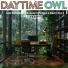 Daytime Owl