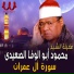 Al Sheikh Mahmoud Abo Al Wafa Al Seidy