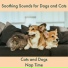 Cats and Dogs Nap Time feat. RelaxMyCat