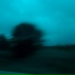 CXRGI