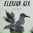 Elektra-RTK
