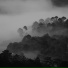 Relaxing Nature Ambience, It's Raining, Natureza